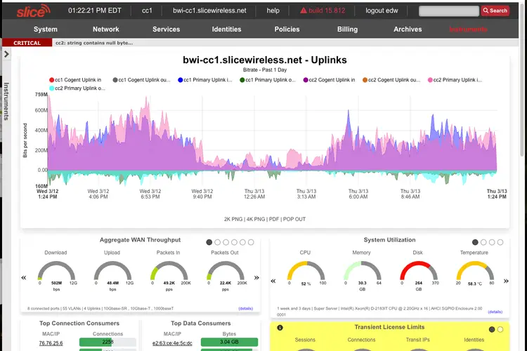 WiSNET central dashboard showing connected wireless networks and services